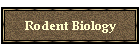 Rodent Biology