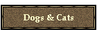 Dogs & Cats