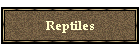 Reptiles