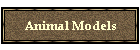 Animal Models