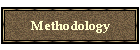 Methodology