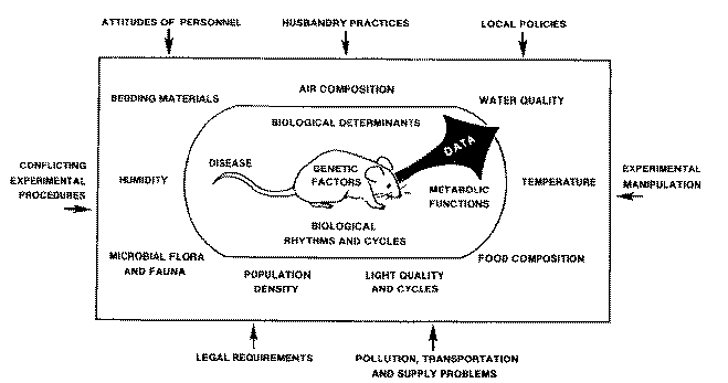 Animal environment